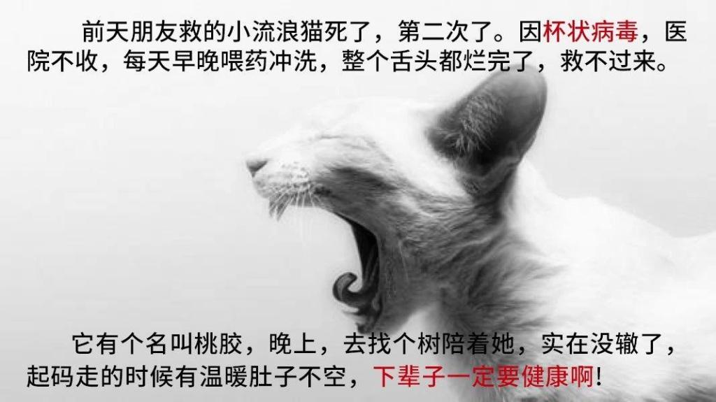 澳门太阳网城官网